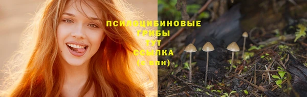 а пвп мука Вяземский