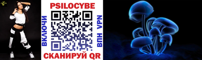 Купить закладки  Раменское  Галлюциногенные грибы Cubensis 